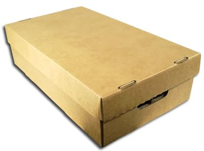 Protected CD Pappbox (3 Stück)