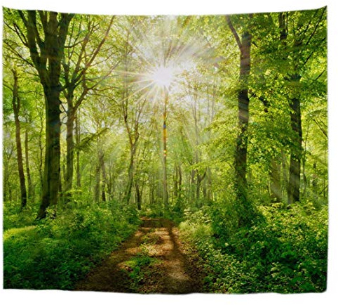 A.Monamour Wanddekor Wandteppiche Sonnenstrahlen Durch Buchen Bäume Wald Fußweg Straße Natur Landschaft Bild Stoff Wandbehang Tapisserie Wandkunst Dekore Tischdecke Bettdecke 203x153cm