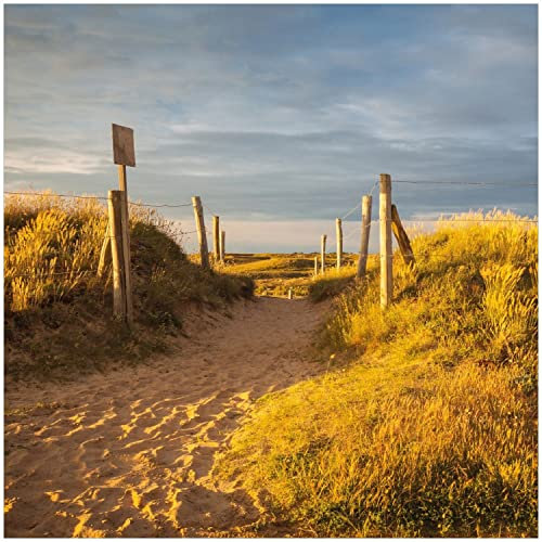Wallario Memoboard aus Glas mit Motiv, Magnet-Tafel in 50 x 50 cm in Premium Qualität Düne am Strand bei Sonnenuntergang in Frankreich
