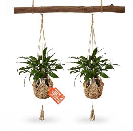 Avilia - Set 2 Portavasi, 5Kg - Sospesi in Macramè Intrecciato a Mano per Vaso per Piante da Interno, Decorazione Boho Rustica Facile da Appendere con Ganci Inclusi, Stile Elegante e Salvaspazio