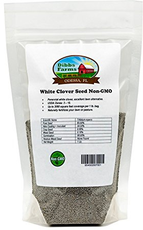 Dibbs Farms White Dutch Clover Seed - 1 lb.