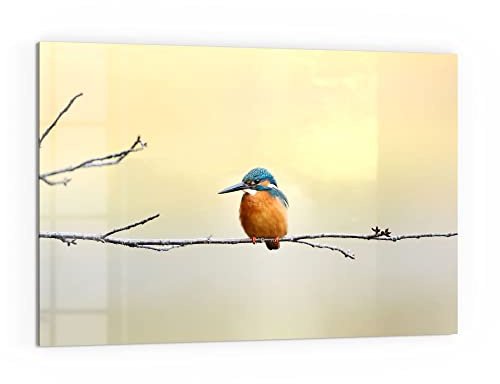 DEQORI Küchenrückwand Glas | Motiv Königsfischer auf Zweig | 60x40 cm | Bad- oder Herd-Rückwand | Herdblende Spritzschutz für Küche & Badezimmer | moderne Deko für Fliesenspiegel