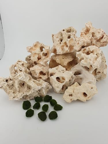 SAHAWA 25 Kg Premium weißes Lochgestein Größe L 15-20 Stück 8-20cm + 10 kleine Mooskugeln 1-2 cm Aquarium Dekosteine Kalksteine