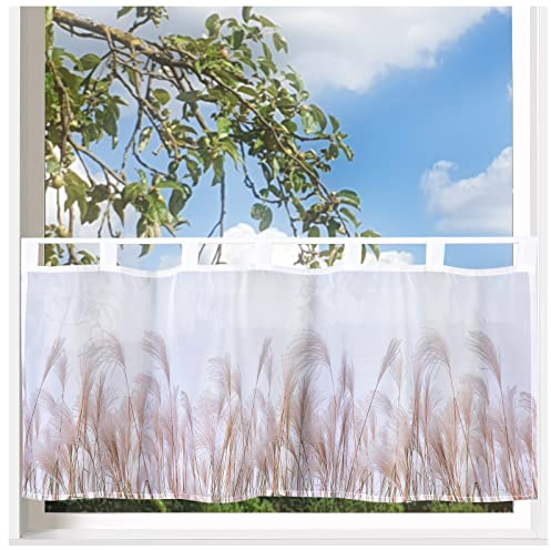 heimtexland ® Scheibengardine Gardine Digitaldruck HxB 45x120 Fensterdekoration Bad Maritim Oekotex Typ789 Pampasgras Weiß
