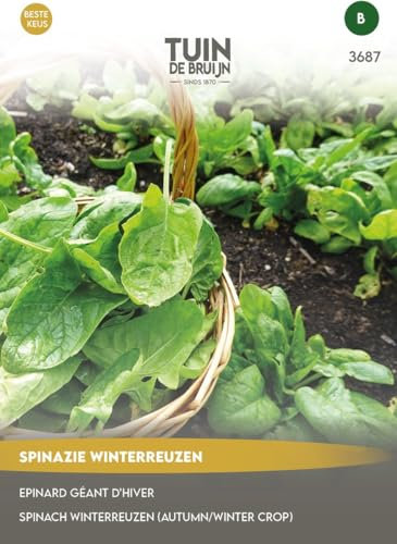 Tuin de Bruijn® Samen - Spinat Winterriesen - ca. 15 Gramm Samen - Winterspinat - September und Oktober Aussaat