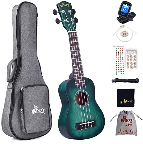 Winzz 21 Sopran Ukulele Anfänger Set Kinderm Erwachsene, Einzigartiges Farbdesign, mit Tasche, Stimmgerät, Zusätzlichen Saiten, Gurt, Noten-Aufkleber, Poliertuch-Dunkles Cyan