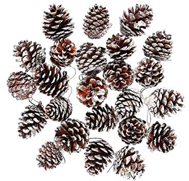 Mirrwin 30 Stück Natürliche Tannenzapfen Weihnachts Tannenzapfen Dekoration Anhänger Tannenzapfn Groß Dekokranz Tannenzapfen für Geschenkanhänger Weihnachtsbaum Party Hängende Dekoration (Weiß)