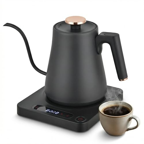Irishom 1L Gooseneck elettrico caffè bollitore, 8 mm, Bollitore elettrico in acciaio inox con regolazione della temperatura, display LCD, mantiene caldo 24 ore per caffè, tè (spina UE 220 V)