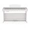 DP-10X Pianoforte digitale 88 tasti pesati azione martello bianco