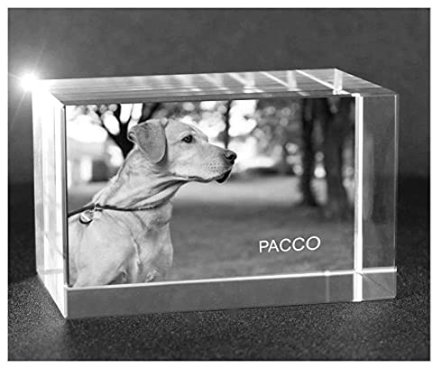 VIP-LASER 2D Gravur Glas Kristall Quader im Querformat XXL mit dem Foto von Deinem Hund. Dein Wunschfoto für die Ewigkeit Mitten in Glas! Groesse XXL = 120x80x80mm