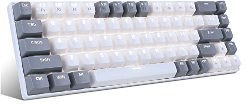 MageGee Portable 60% Gaming Mechanical Keyboard, Minimalist MK-Box Ice Blue Backlit Compact 68 Keys Wired Office Keyboard with Red Switch for Windows Laptop PC Mac Convenient(Gray & White)