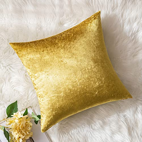 MIULEE Kissenbezug 60x60 cm samtkissen couchkissen Hellgold | Kissenhülle Dekorative Dekokissen Sofakissen Wurfkissenbezug mit Verstecktem Reißverschluss Sofa Schlafzimmer