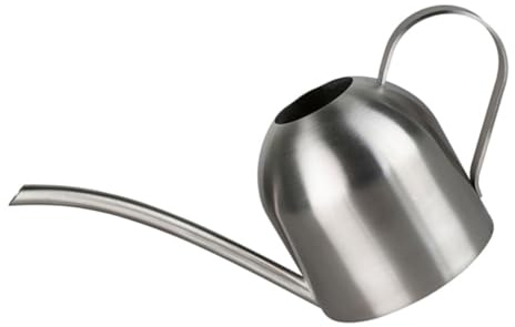 ibasenice 1 Pièce Inoxydable Bec Long pour Jardinage Outil Arrosage Élégant Durable pour Plantes Intérieur Extérieur