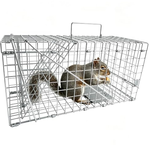 Rattenfalle Lebend, Mausefalle Lebendfalle XXXL 43 cm Groß Tierfreundlich & Wiederverwendbar - Faltbar - Mäuse Falle Lebend Käfig für Innen & Aussen - Rat Trap - 43cm x 20cm x 19cm