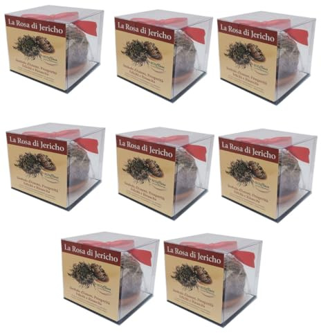 Rosa di jericho 8er Sparpack