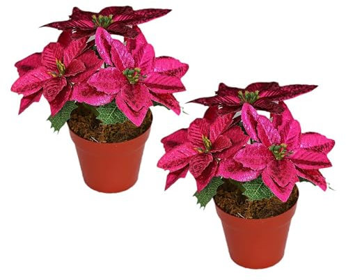 ZHDOKA 2 Stück Künstliche Weihnachtssterne, Pflanzen Im Topf, Künstliche Weihnachtssterne aus Seide, Eingetopft, Künstliche Weihnachtssterne, Bonsai für Blumenarrangements, (Rose)
