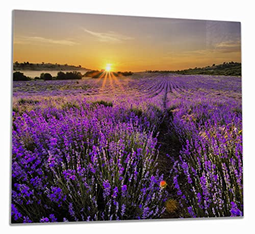 Wallario Herdabdeckplatte/Spritzschutz aus Glas, 1-teilig, 60x52cm, für Ceran- und Induktionsherde, Sonnenuntergang über dem Lavendel