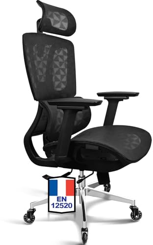 MELOKEA Silla Ergonomica de Escritorio, Reposabrazos 4D, Asiento Regulable en Profundidad, Ruedas de Goma, Inclinación de 4 Niveles, Silla de Oficina Ergonómica, Asientos de Malla, Silla Escritorio