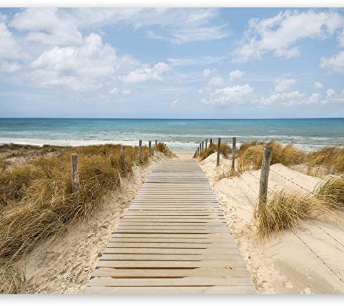 murando Fototapete selbstklebend 343x256cm Foto Tapete Tapetenfolie Möbelfolie Wandverkleidung Wandtapete Motivtapeten Bildtapete Wohnzimmer 3d Effekt Modern Landschaft Natur Meer Strand blau beige