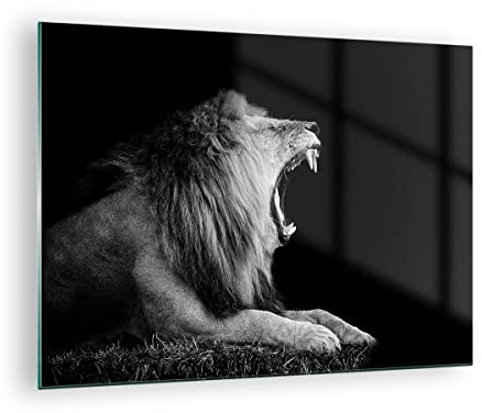 Bilder auf Glas Löwe Gähnen Schwarz und Weiß Glasbild 70x50cm Wandbilder Dekoration Wohnzimmer Schlafzimmer Küche Deko Klein Wanddeko Bild im Glas Wand Kunstdruck Art Modern Wall Decor GAA70x50-4252
