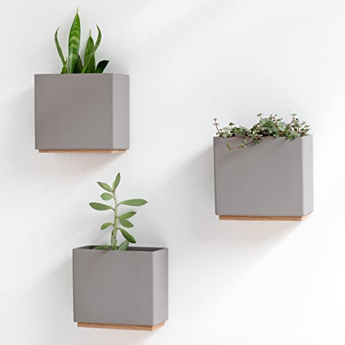 Kazai. Wandvasen -Alma- | Moderne Hängende Blumentöpfe für die Wand | 3-teiliges Übertopf-Set aus hochwertigem Resin für Zimmerpflanzen, Kunstpflanzen, Blumen u.m. | Taupe