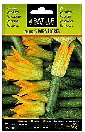 Semillas Batlle Calabacín para Flores