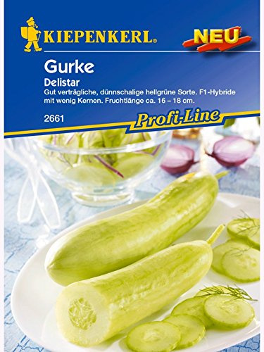 Kiepenkerl Salatgurke Delistar Saatgut