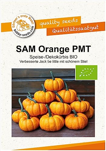 SAM Orange BIO Kürbissamen von Bobby-Seeds, Portion
