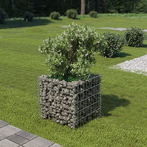 Gabion - Cama elevada de acero galvanizado (50 x 50 x 50 cm), color plateado
