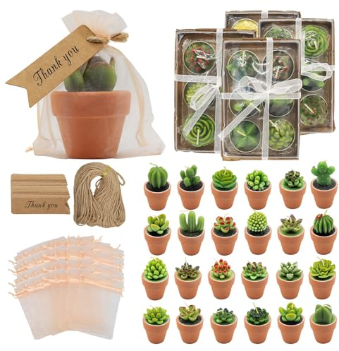 AZEAM 24 Pcs Succulent Candles Party Favors, Bulk Cactus Table Decor with Mini Terracotta Holders, Tiny Handmade Plant Tealights Candle Decoration for Shower Bridal Game Wedding Home Birthday