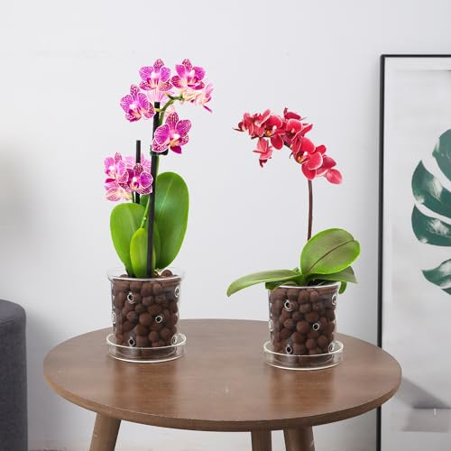 PERFECTOP 2Pcs 4.3inch Glass Orchid Pots with Holes and Saucer,Clear Breathable Orchid Planter with Drainage Holes & Tray,Stylish Flower Pot Planter for Orchids Indoor Plants,Home Office Decor