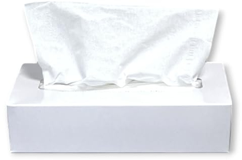 DE Healthcare Products – Kosmetiktücher (100 Stück), 2-lagige Taschentücher in weißer Box, weiche Papiertaschentücher, 1 Box x 100 Tücher