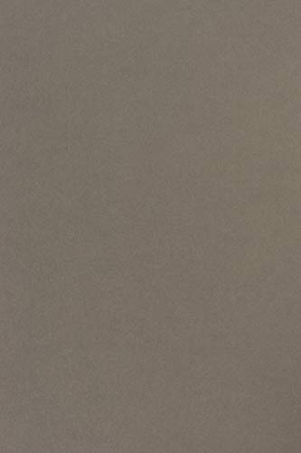 Netuno 100x Tonkarton Grau DIN A4 21 x 29,7 cm 170g Sirio Color Pietra Farbiges Tonpapier buntes Bastelpapier bedruckbar für Karten Einladungen Bastelbogen A4 Kartengestaltung Basteln