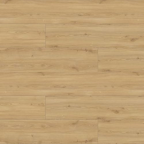 Pavimento laminato Exclusive 5G 8mm AC4 - V4 CONF.2,31MQ (GIZA (T2638))