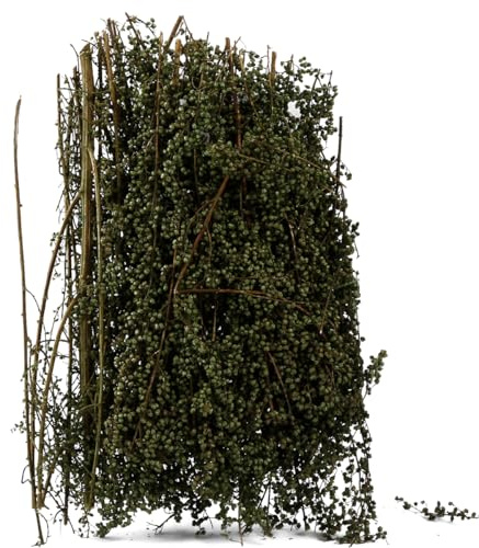 GLADFRESIT Modelo de arbustos en miniatura, 1 paquete, modelo de escena, plataforma de árbol, material de quinua espinosa (verde hierba)