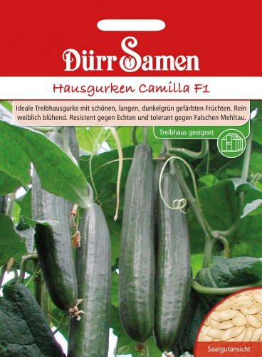Dürr Samen 1112 Hausgurke Camilla F1 (Hausgurkensamen)