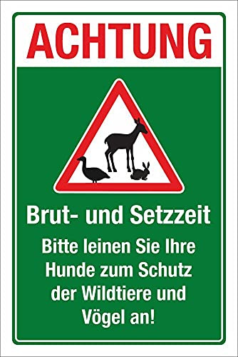 Schild Brut und Setzzeit Hunde anleinen Wildtiere 300 x 200 mm | 3 mm Alu-Verbund, wetterfester UV-Direktdruck, robust und langlebig, Made in Germany