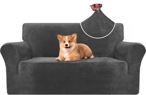 CYCMACO Samt Sofa Überzug 2 Sitzer, Sofabezug Elastische, Couch Überzug Haustier Katze Hunde, Universal Sofa Cover Moderne, Sofahusse Mit Armlehnen, Sofaschoner rutschfest, Grau