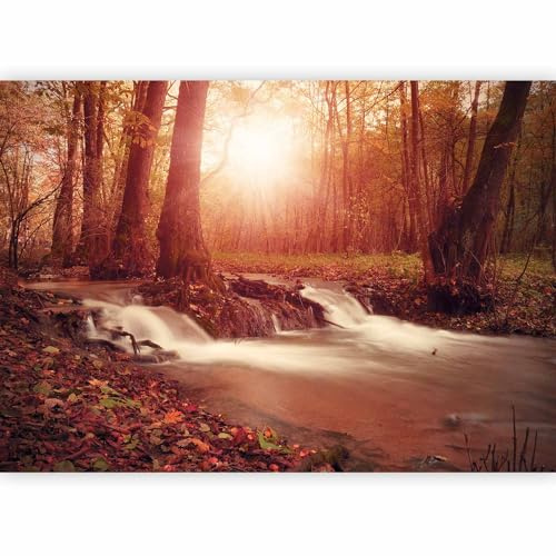 Fotomurales B&D XXL - 150x105 cm XXL Papel pintado tejido no tejido Decoración de Pared decorativos Murales moderna Diseno Fotográfico naturaleza bosque arboles paisaje c-B-0089-a-d