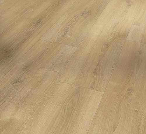 Parador Dekorboden Laminat Basic 600 Eiche Nova gekälkt Naturstruktur Breite Landhausdiele 4-V-Fuge