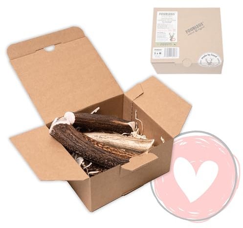 FOURLEGS® natürlicher Kauspaß für Hunde aus 100% Hirschgeweih - Mineralstoffe, Kauspielzeug, Kaustange, Wildgeschmack, Geweih, Knochen, Hirsch, Kauartikel - Größe M ganz Sparpaket (5 Stück)