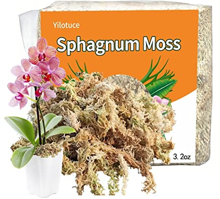Yilotuce 90g Compressed Sphagnum Moss for Plants, Carefully Selected Premium Sphagnum Moss for Orchid