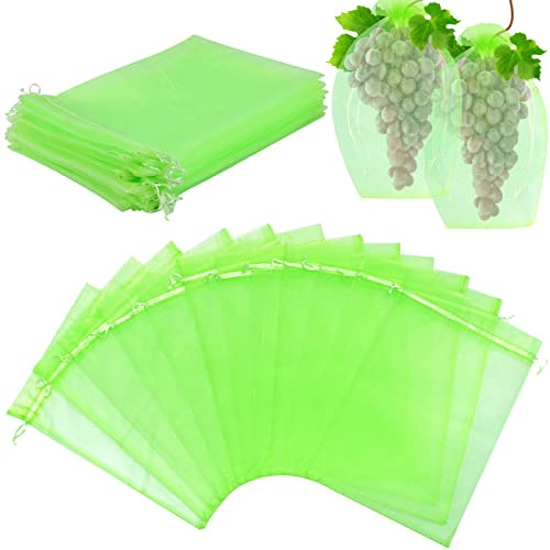 TOTSUN 50Pcs Fruit Protection Bags, 20×30cm Fruit Grape Protection Bags with Drawstring Garden Net Bag Fine Mesh for Effective Protection Against Fruit Flies Bees Wasp Frass Birds