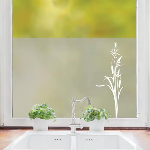Sichtschutzfolie mit Schilfkolben maritime Fensterfolie, Fensterdeko Milchglasfolie Wiederverwendbar Sichtschutz, 55 cm hoch, 75 cm breit