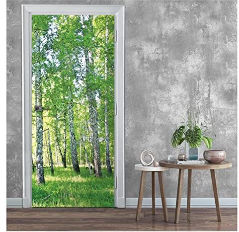 Türtapete Selbstklebend Wald Birkenwald grün Natur - 91x211 cm einteilig - Türposter Fototapete für Tür Wohnzimmer Küche Badezimmer Türaufkleber Türfolie UV-Beständig Montagefertig