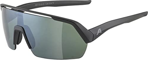 ALPINA Unisex - Erwachsene, TURBO HR Q-LITE Sportbrille, black matt/silver, One Size