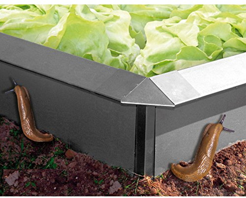 bellissa Set Bordure per aiuole in Latta da 14 Elementi a chiocciola + angolari, 10089