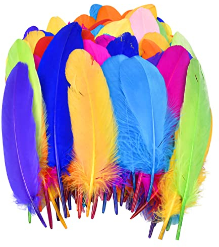 100 Stück Federn Zum Basteln Bunte Federn Naturfedern Natürliche Gänsefeder Indianer Feder für Traumfänger Basteln, Kostüme, Hüte, Zuhause Dekor, DIY Ohrring Hochzeit Handwerk Kopfschmucksfedern
