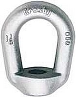 Crosby 1090553#5 Eye Nut, Forged Carbon, Galvanized, 3/4 Tap, Working Load Limit: 5200 lb, 3.89 Length x 3 Width
