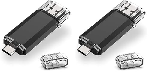 Clé USB C 128Go Dual, RAOYI Clef USB 3.0 et Type C 128 Go OTG Flash Drive pour MacBook Google Chromebook Pixel, Smartphone Samsung Galaxy S8, Huawei P20 Matebook (Lot de 2)